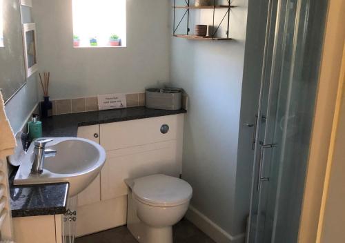 a small bathroom with a toilet and a sink at Bizzys Place in Gunnerside