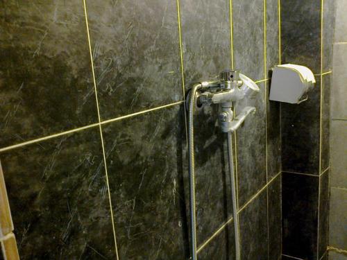 bagno con doccia e dispenser di carta igienica di My Hostel and Cooking House! a Tbilisi City
