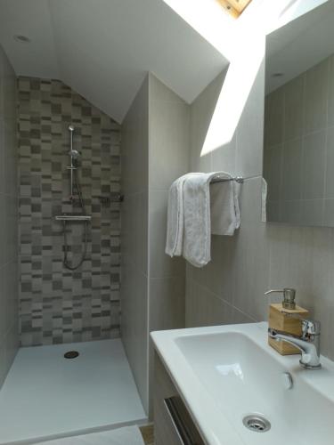 y baño con lavabo y ducha. en La Maison Fleurie, en Dieffenbach-au-Val