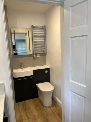 a bathroom with a toilet and a sink and a mirror at Studio at The Old Vicarage in Abingdon