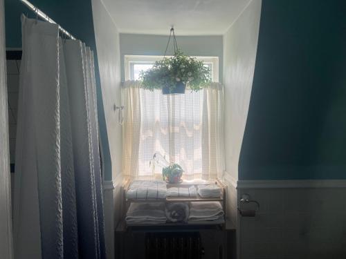 a window with a potted plant on a window seat in a room at 2Br Private Victorian Apartment in City location on half acre Sleeps 5 in Poughkeepsie