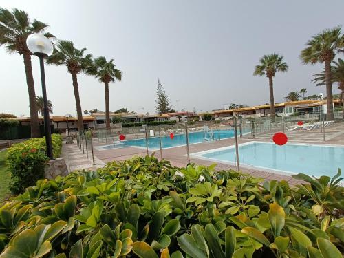 Bazén v ubytování BUNGALOW JARDÍN CENTRICO PLAYA INGLES nebo v jeho okolí