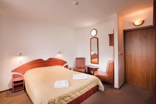 Habitación de hotel con cama y silla en Hotel Bianca, en Beliş