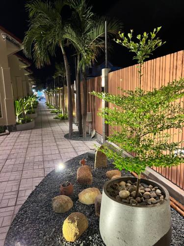a bonsai tree in a pot in a courtyard at escVACA - Your Stay in Mui Ne in Mui Ne