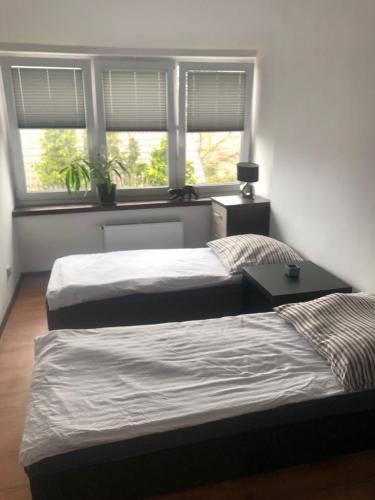 Postel nebo postele na pokoji v ubytování Dom Wakacyjny Parkowa