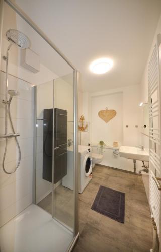 a bathroom with a walk in shower and a sink at Apartmenthaus Fritz Reuter in Schwerin