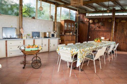 ソレントにあるLimoneto Gargiuloのキッチン(テーブル、椅子付)