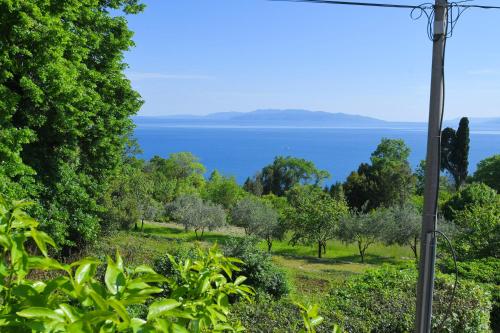 Φυσικό τοπίο κοντά σε αυτό το διαμέρισμα