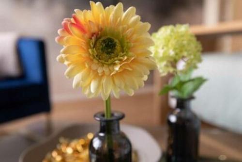 a yellow flower in a vase on a table at ArtRoom Boarding Apartment in Bissendorf