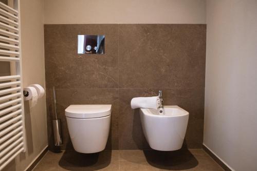 a bathroom with a toilet and a picture on the wall at Villa Cavaion in Cavaion Veronese
