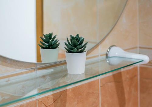 two plants on a glass shelf in front of a mirror at Apartamento céntrico con wifi y parking de coche tamaño medio in Cangas de Onís
