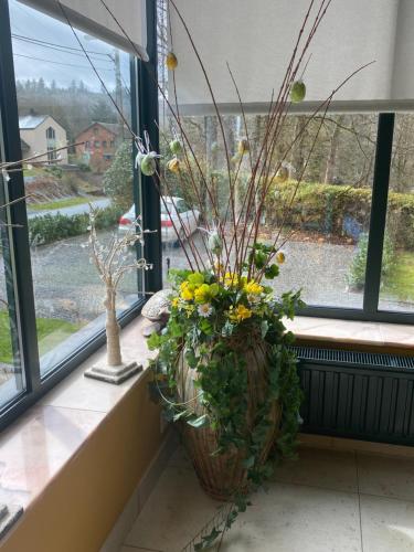 a window sill with two potted plants on a window sill at La colline aux hirondelles in La Roche-en-Ardenne
