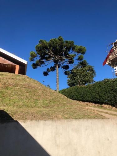 a tree on top of a hill with a skateboard ramp at Casa Aconchegante na Montanha in Campos do Jordão
