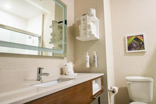 a bathroom with a sink and a toilet and a mirror at Hampton Inn New Orleans French Quarter Market Area in New Orleans