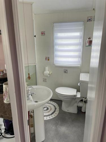 a bathroom with a white toilet and a sink at The Rock Bar B&B in Kilkenny