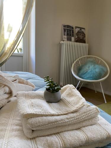 una camera con un letto con asciugamani e una pianta di Casa di Carlo a Pallanza