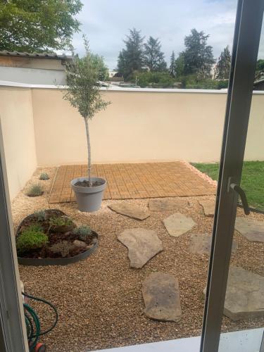 un jardín con un árbol en una olla y rocas en villa bleu marine chic calme et jardin, en Andrézieux-Bouthéon