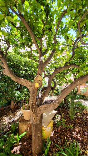 Κήπος έξω από το Super Flat, Garden. Bnbrickeys