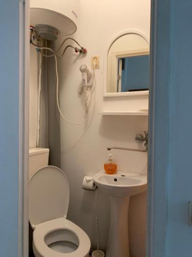 ein kleines Bad mit WC und Waschbecken in der Unterkunft Sala Apartments in Riga