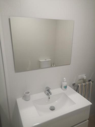 a bathroom with a white sink and a mirror at Concordia in Roquetas de Mar
