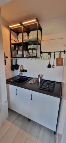 a kitchen with a sink and a stove at Musura Bay Apartments in Sulina