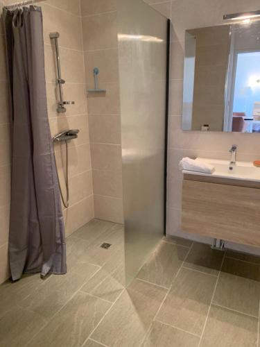 une salle de bain avec douche et lavabo dans l'établissement Le Café Crème jardin parking, au Chambon-sur-Lignon