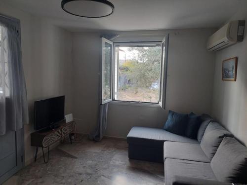 Μια τηλεόραση ή/και κέντρο ψυχαγωγίας στο Gesyl house