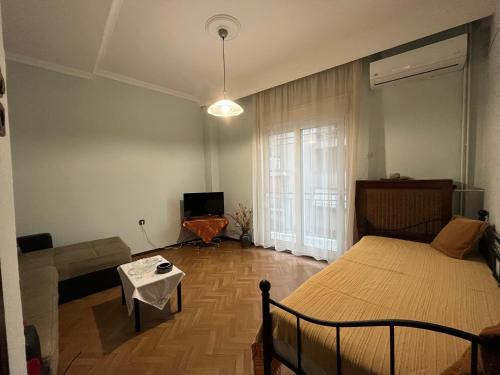 卡瓦拉的住宿－Sofi’s Apartment，一间卧室配有一张床、一张沙发和一台电视