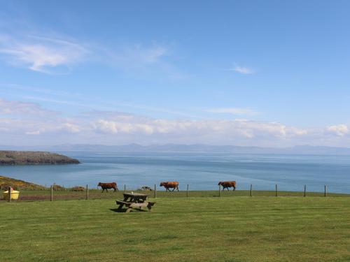 The Caravan - Cilan – Photos 3