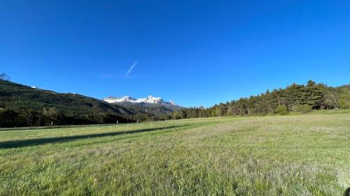 Chalet Anthony – Photos 3