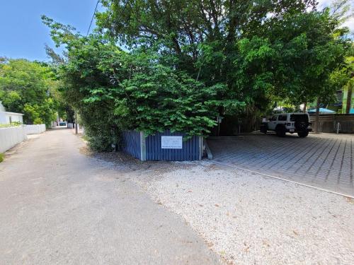 a tree sitting on the side of a street at Duval Street Suite w parking and pool in Key West