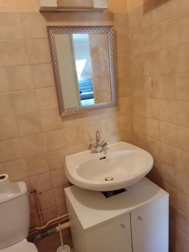 a bathroom with a sink and a mirror and a toilet at MARGUERITE in Massiac