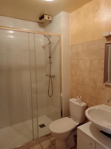 une salle de bain avec une douche, des toilettes et un lavabo dans l'établissement MARGUERITE, à Massiac
