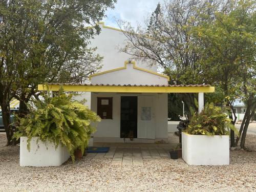 a small white house with two potted plants in front of it at Diver's Paradise Bonaire in Kralendijk