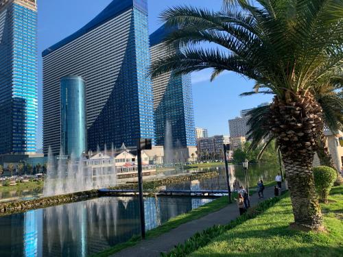 a palm tree next to a river with tall buildings at Vip aparthotel Orbi city sea View in Batumi