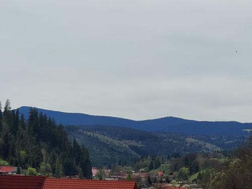 a view of a valley with mountains in the background at Apartament Panoramic Toplița in Topliţa