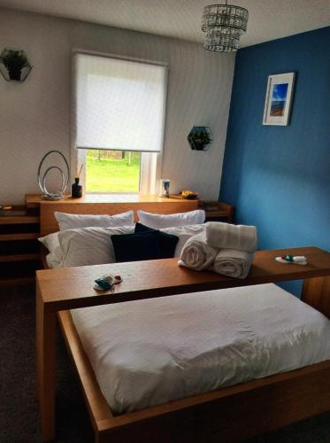 a bedroom with two beds and a blue wall at The Wee Bunker in Barassie