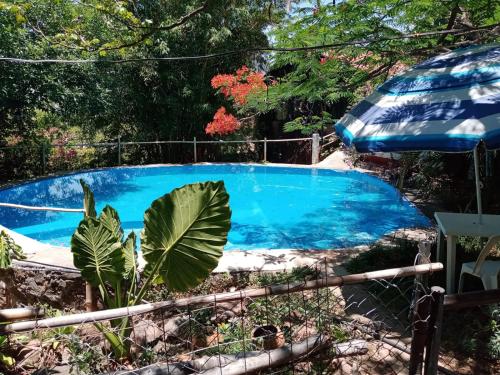 La Cabaña del Reflejo Azul tesisinde veya buraya yakın yüzme havuzu