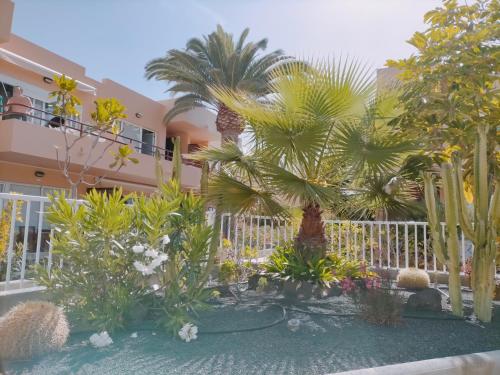 Apartamento Las Vistas 3