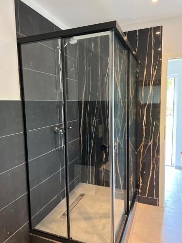 a glass shower in a room with black tiles at Seeblick Apartment am Mellensee in Mellensee