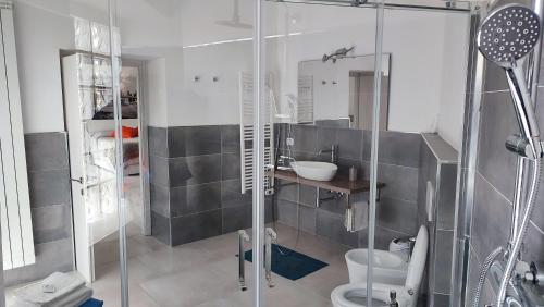 uma casa de banho com um chuveiro, um WC e um lavatório. em Nautica Tarello - Casa Ena BeB em Viverone