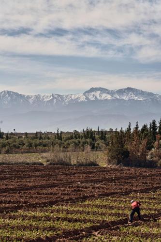 a person in a field with mountains in the background at Dar Meha in Marrakech