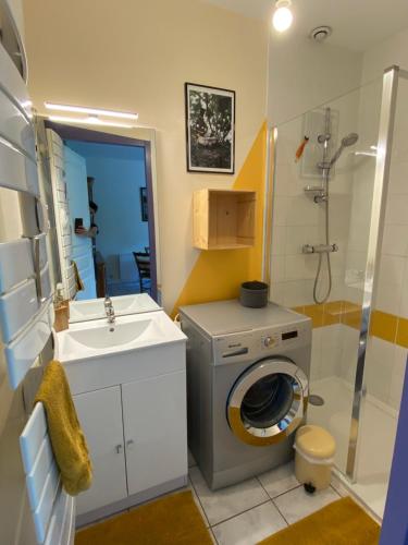 a bathroom with a washing machine and a sink at La petite marmite du lac de Vouglans in Pont-de-Poitte