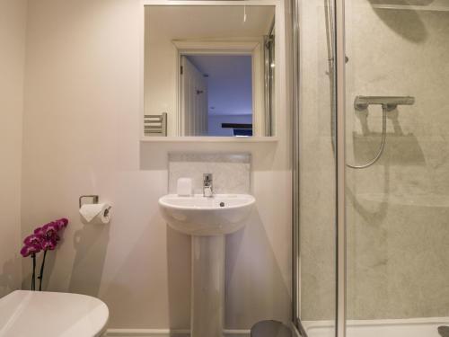 uma casa de banho branca com um lavatório e um chuveiro em Brimley Barn em Wellington
