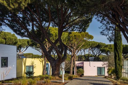 a house with a tree in the middle of a driveway at The Magnolia Hotel in Quinta do Lago