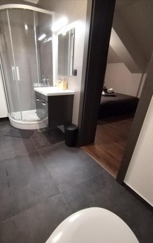 a bathroom with a shower and a sink and a toilet at Sobe Tamaris in Slapno