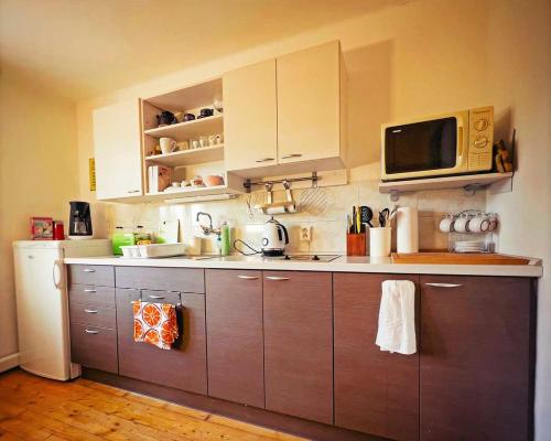 a kitchen with stainless steel cabinets and a microwave at Dame vam pokoj - 4 pokoje se sdilenou kuchyni, kapacita max 9 osob in Harrachov