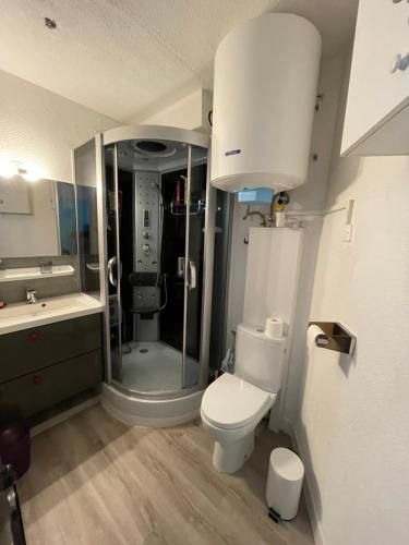 une salle de bain avec toilettes, douche et lavabo dans l'établissement Appartement vue exeptionnelle sur la mer 6 personnes, au Barcarès