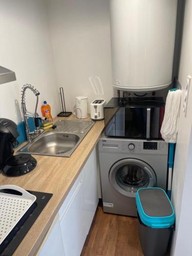 une cuisine avec un évier et une machine à laver dans l'établissement Le Voltaire, à Troyes