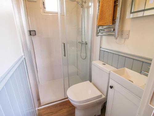 a bathroom with a shower and a toilet and a sink at Mucklewick Hollow in Shrewsbury